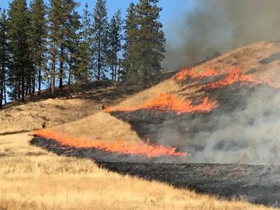 Controlled Burning Period In Asotin County For Spring 2020 Ends May 31 Local Bigcountrynewsconnection Com