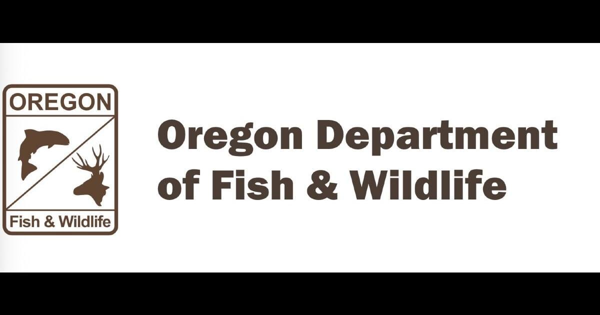 Oregon Department of Fish and Wildlife releases statement on coyote incident in Portland