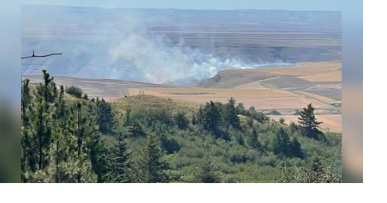 Multiple Fire Agencies Respond to New Start Wildfire in Redbird Area