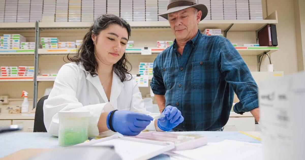 Toxic Exposure Creates Disease Risk Over 20 Generations, According to Washington State University Study