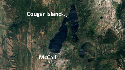 Cougar Island Near McCall
