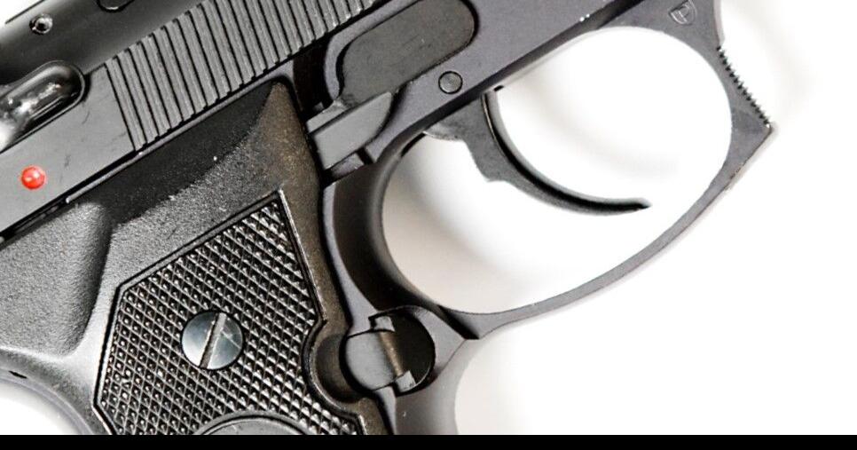 Idaho Delegation Votes No as Congress Passes Gun Safety Bill