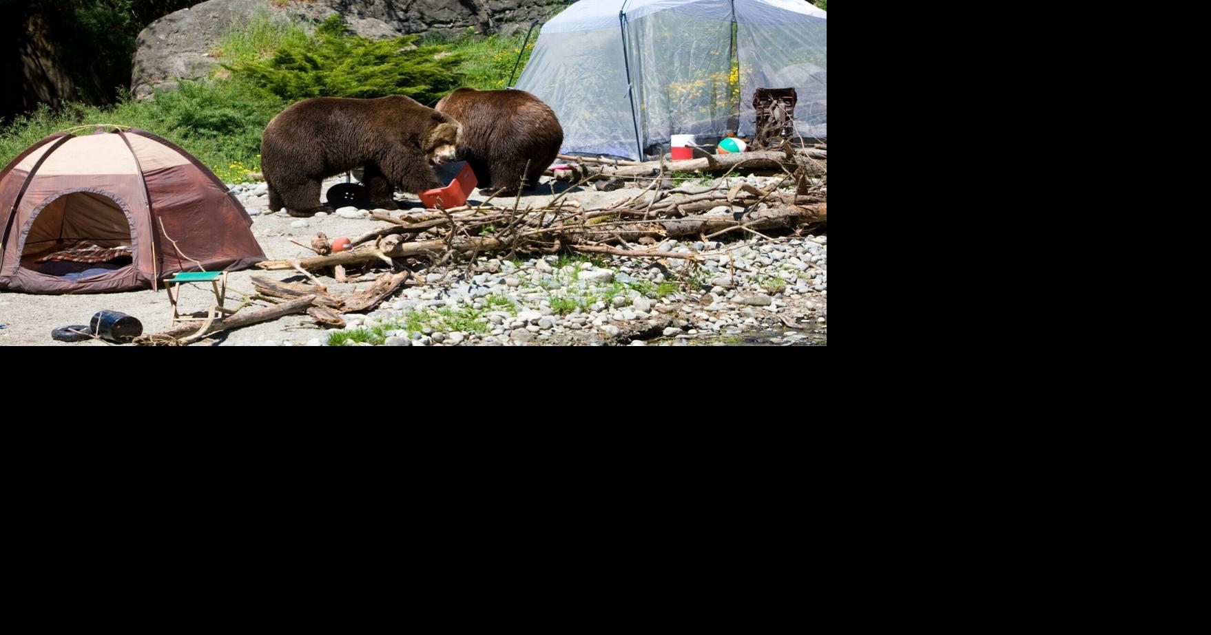 As Bears Wake Up Across Idaho, Fish and Game Urges Public to Stay ‘Bear Aware’ This Spring | Idaho