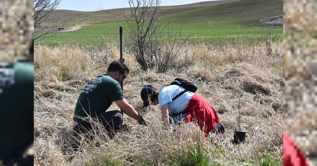 Plant the Palouse with Palouse Conservation District and Port of Whitman Industrial Park