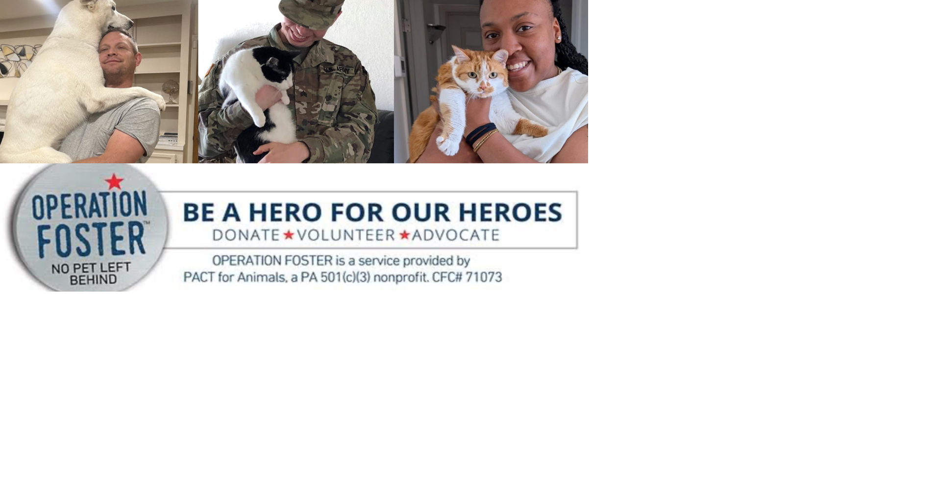 PACT for Animals: A Nationwide Mission to Protect the Bond Between Veterans and Their Pets