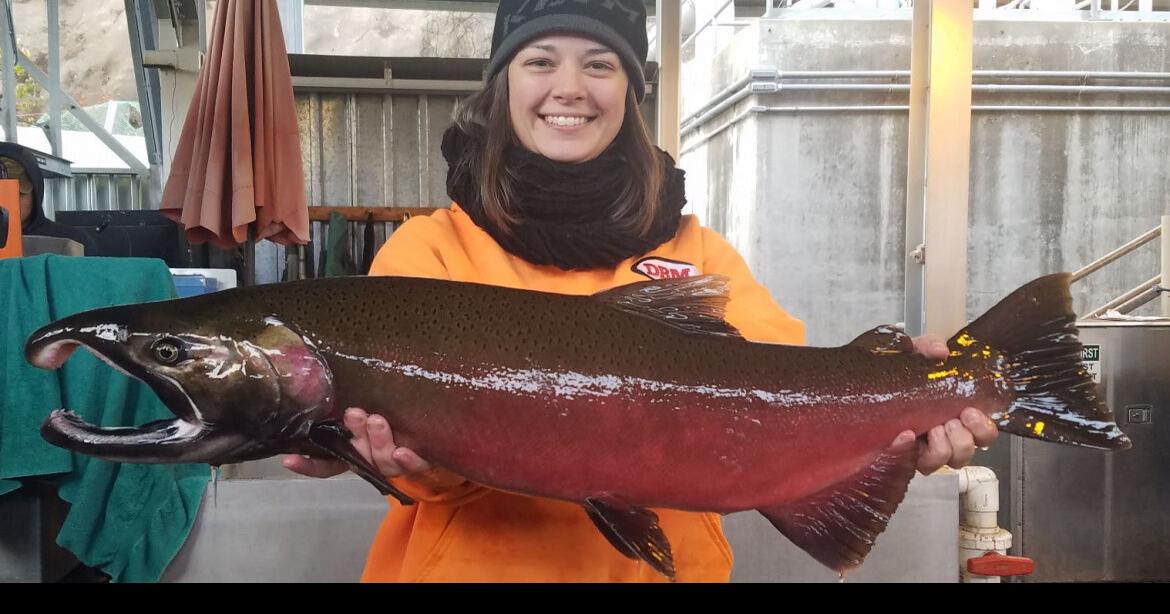 Idaho Fish & Game Commission Approves Clearwater River Coho Salmon