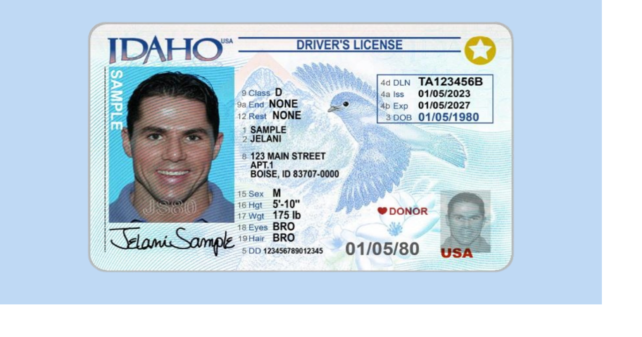 BMV: Licenses, Permits, & IDs: Driver's License