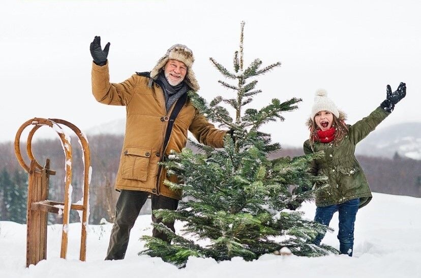 Klamath Falls Christmas Tree Permits 2022 Christmas Tree Permit | | Bigcountrynewsconnection.com