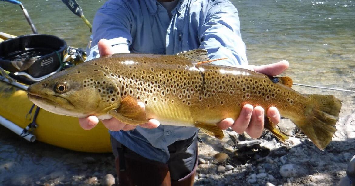 Idaho trout stocking highlights for September 2025