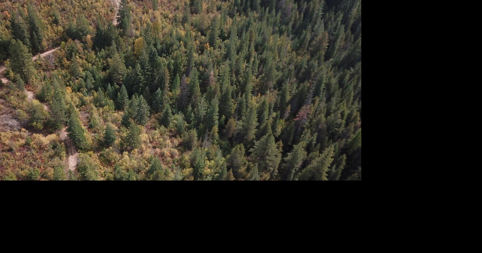 Nez Perce-Clearwater National Forests announces seasonal hiring for upcoming recreation season