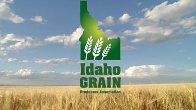 Idaho Grain Producers Association