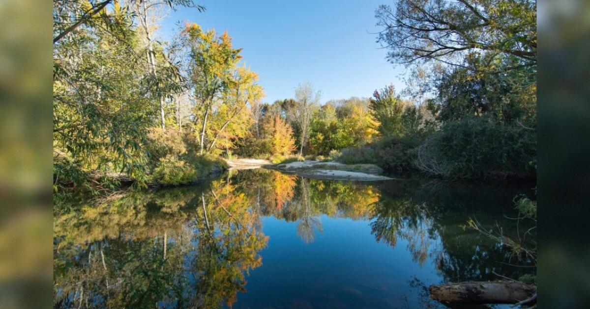 Eagle Island State Park to host winter event for Idaho foster families
