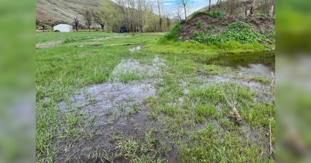 WDFW Invites Public Comment On Environmental Analysis Of Proposed Shooting Range Closure In Asotin County