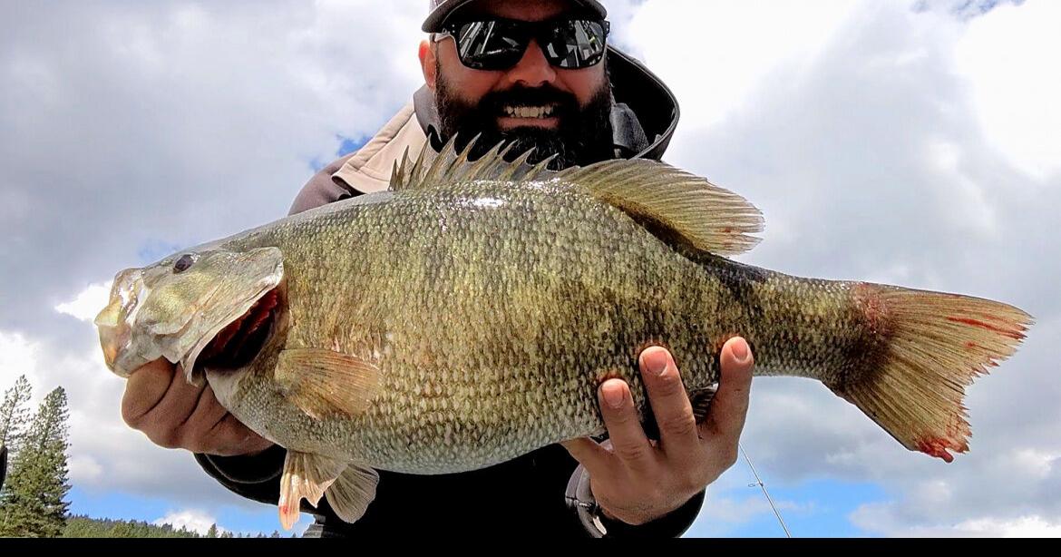 Lewiston Angler Lands State Record Smallmouth Bass At Dworshak Reservoir Idaho