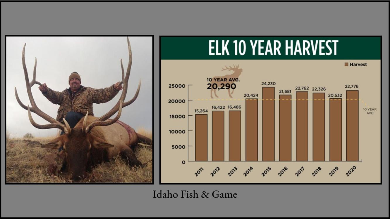 Idaho Elk and Deer Harvest Rates Increase 10 to 11 Percent in 2020
