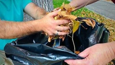 City of Lewiston Winter Yard Waste Schedule | Idaho |  bigcountrynewsconnection.com