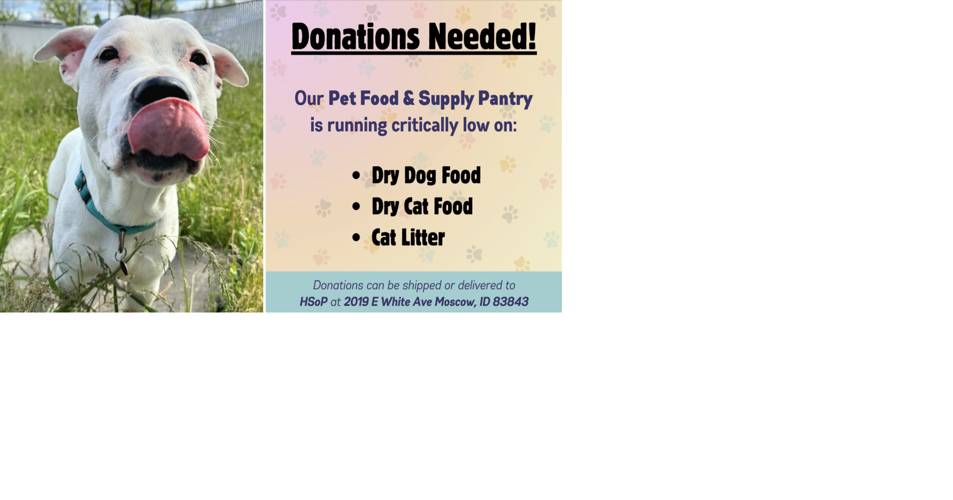 How you can help all Latah County pets can go to sleep with full bellies | Idaho