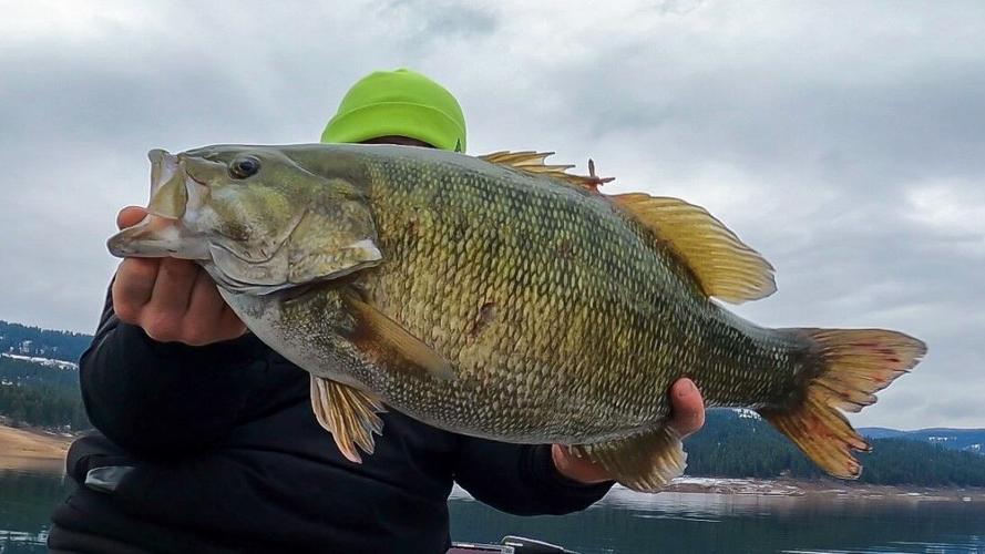 Smallmouth Bass Caught on Dworshak Reservoir Sets new Record, Idaho