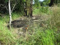 US95 Highway Fire 728 (1)