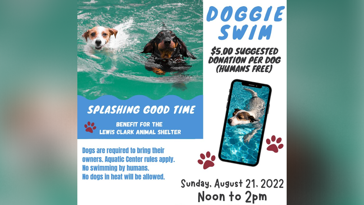 Aquatic center for dogs sale