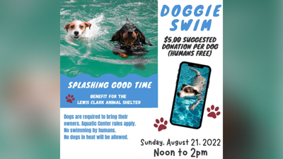 2022 Doggie Swim