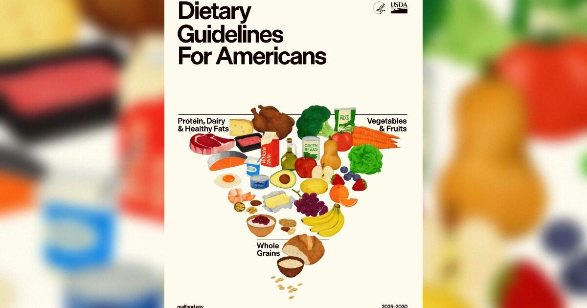 The New American Food Pyramid