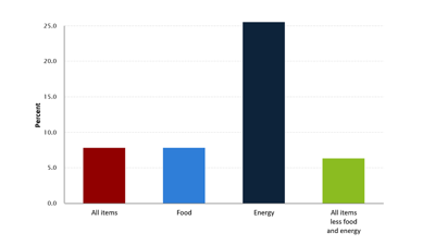 Consumer price index 2022