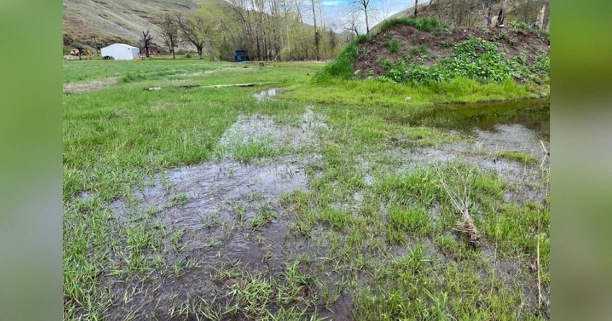 Asotin Creek Wildlife Area Shooting Range Closed Permanently Due To Flood Damage