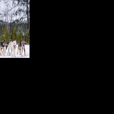 Idaho Sled Dog Challenge Announces Cessation