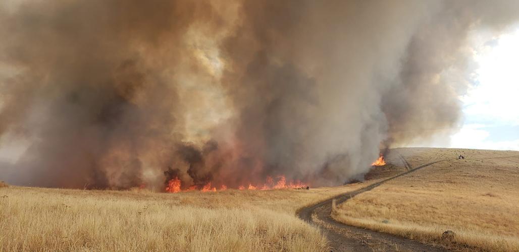 *Updated* Blankenship Fire in Asotin County Now 95 Contained Local