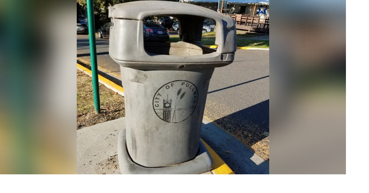 Pullman PD Seeking Information After Several Public Trash Bins are
