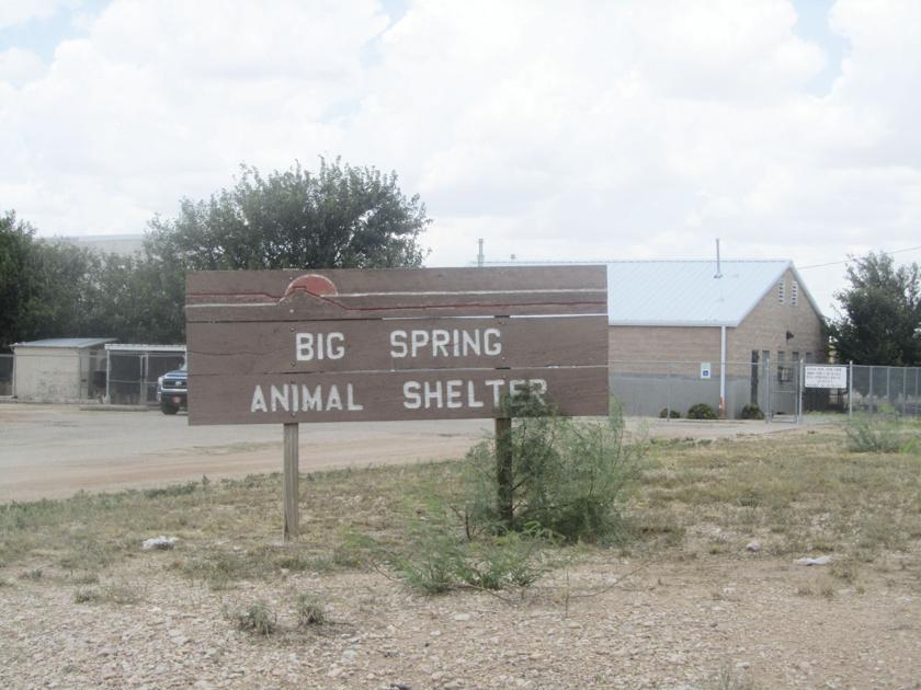 Animal Shelter ending drop off kennel service | News ...