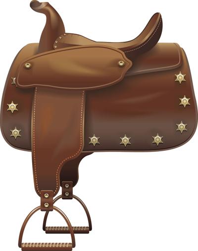 saddle