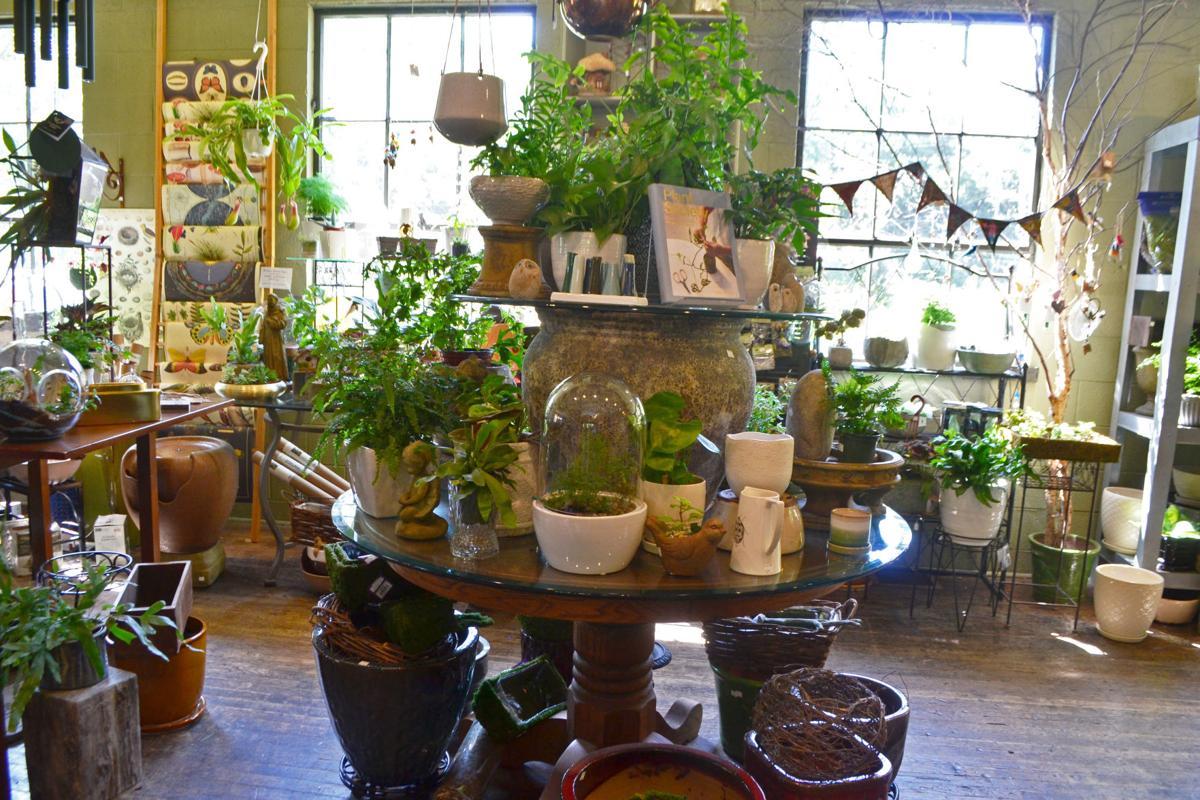 Find Your Perfect Terrarium Or Miniature Garden At Thyme In The