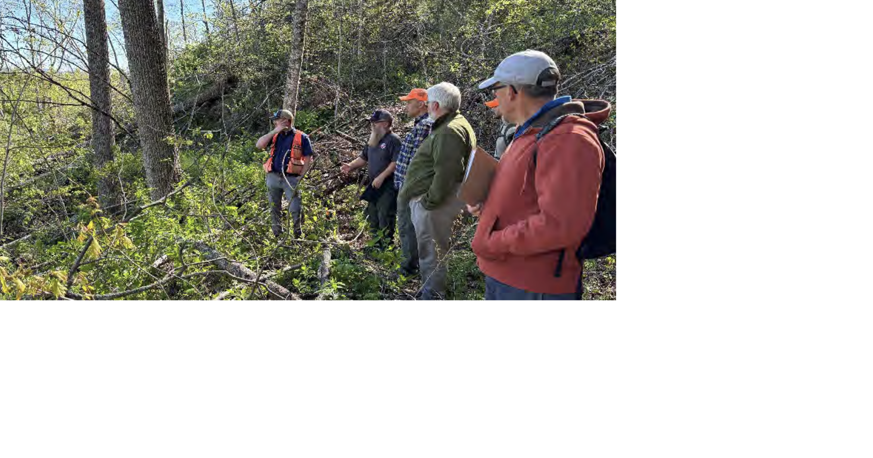 Helene left a forest in pieces. Weaverville has a plan to clean it up.