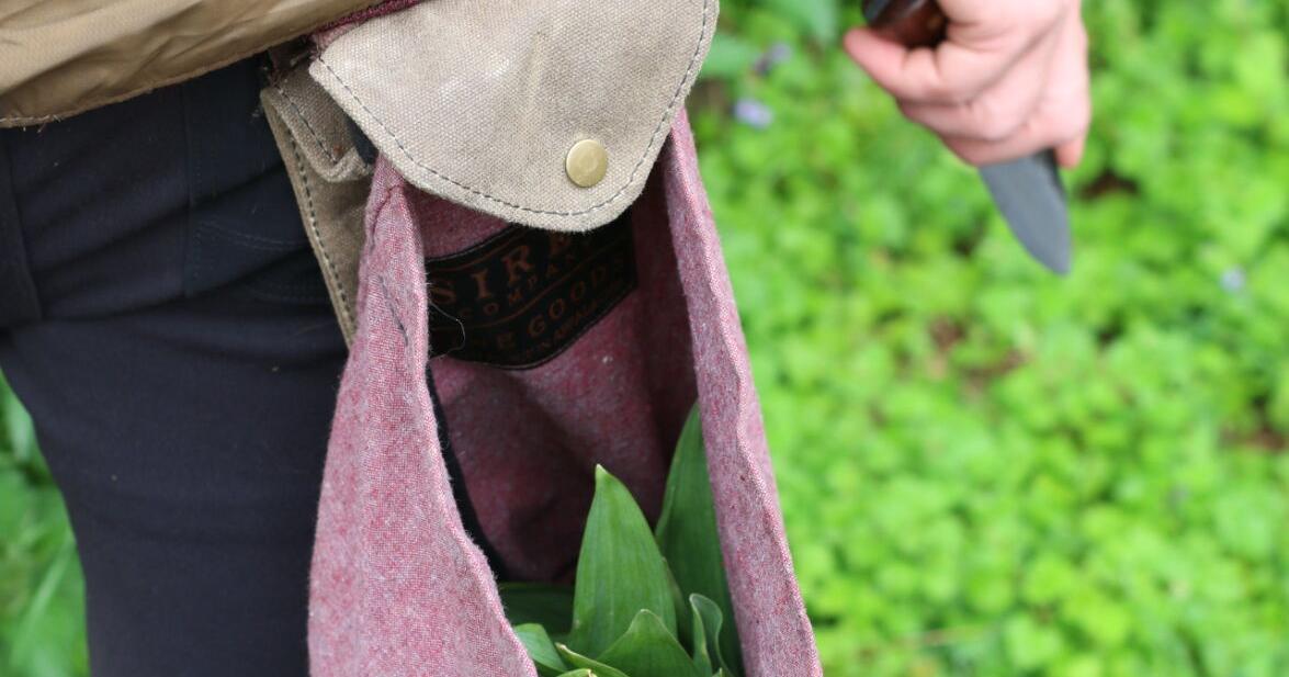 Get to Growing: Ethical Foraging — Responsibility and Reciprocity ...