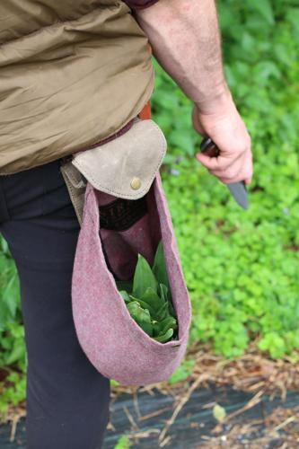 Get to Growing: Ethical Foraging — Responsibility and Reciprocity ...