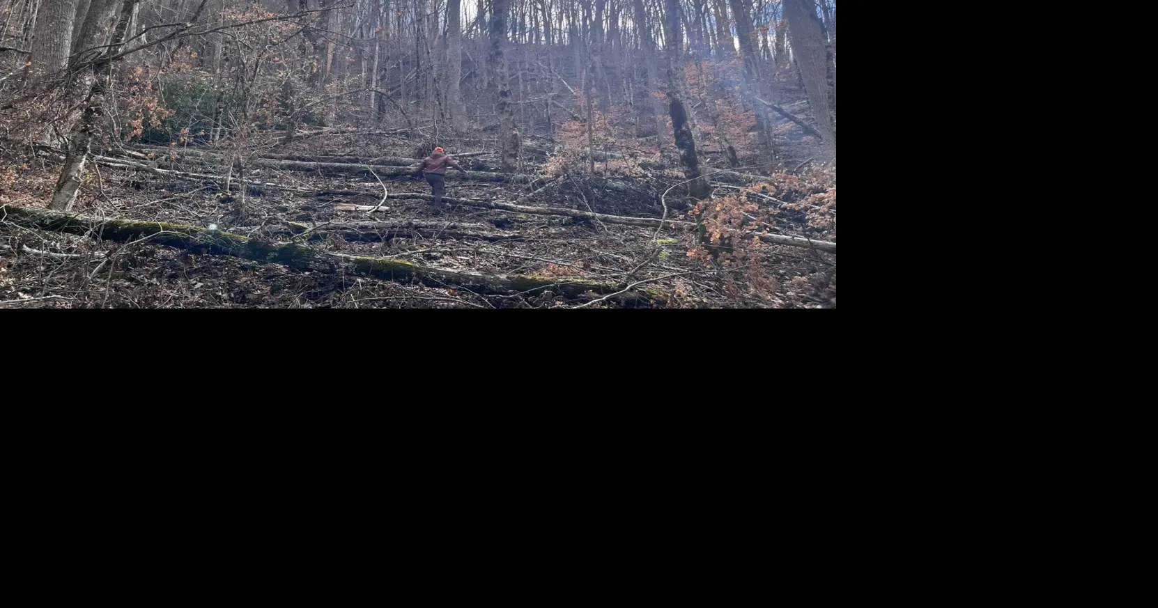 Federal judge overturns plan for Nantahala-Pisgah National Forest, saying it violates Endangered Species Act