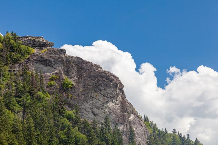 Blue Ridge Parkway recruiting volunteers to help protect ecological ...