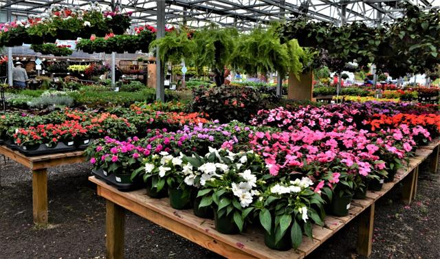 BB Barns | | biltmorebeacon.com