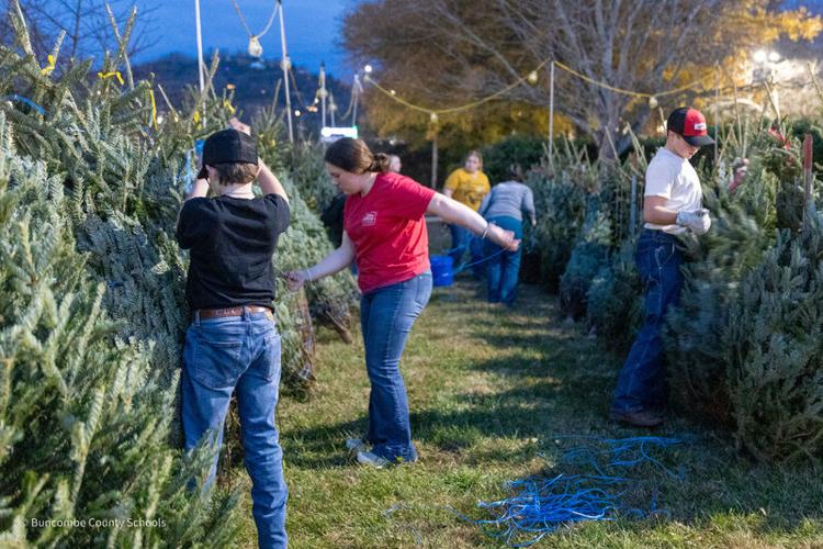 Christmas tree sales grow future opportunities for FFA students ...
