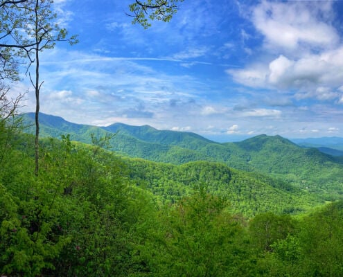 South Yellow Mountain.jpeg