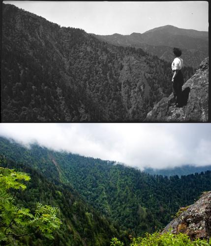 Unexpected family connection inspires artist to remake historic Smokies ...