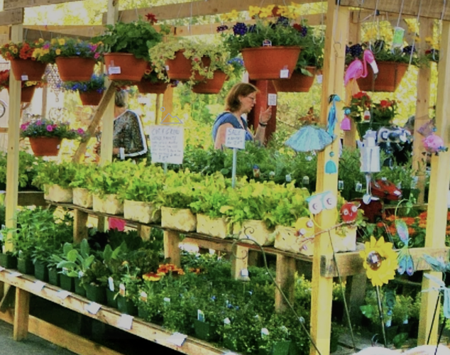 WNC Farmers Market kicks-off the spring growing season with massive plant  sale | Outdoor | biltmorebeacon.com