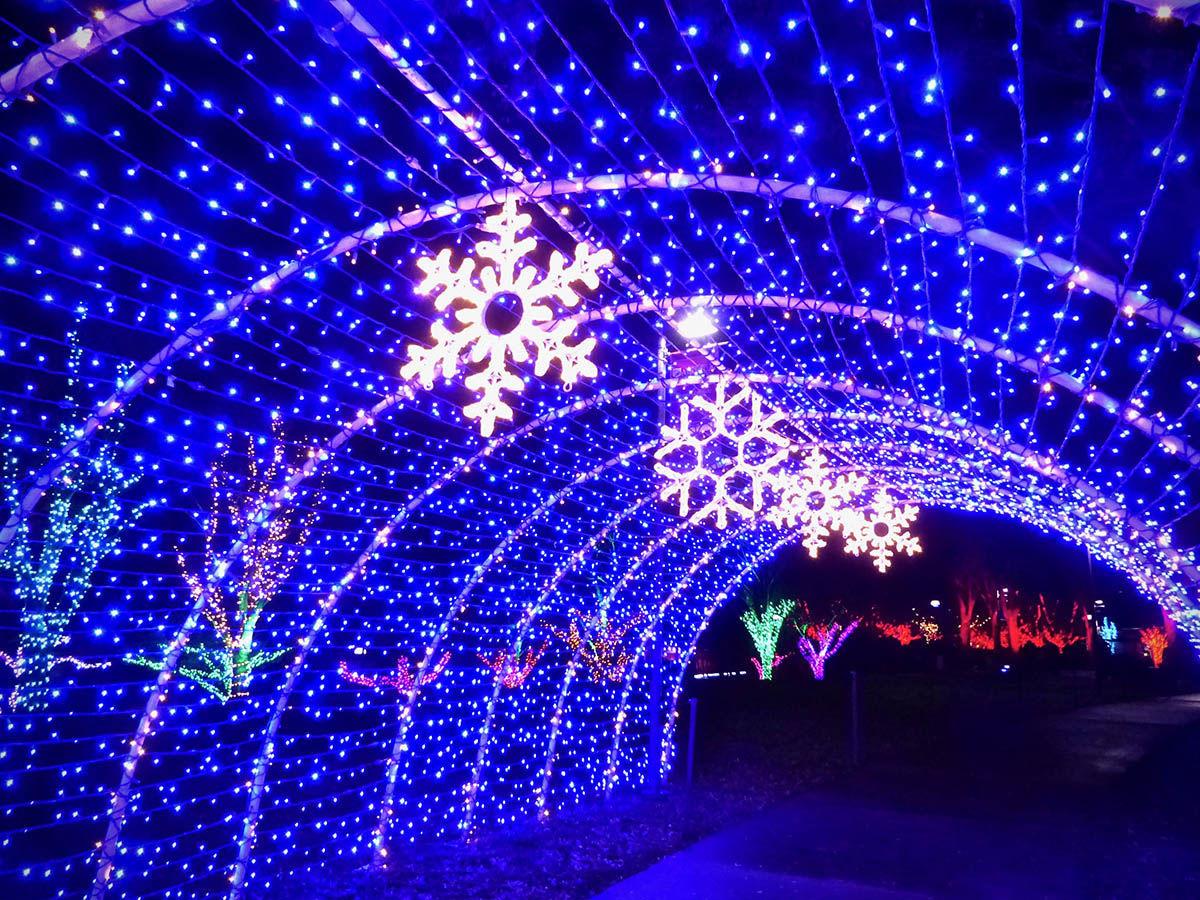 Winter Lights Brings Delight To The Season News