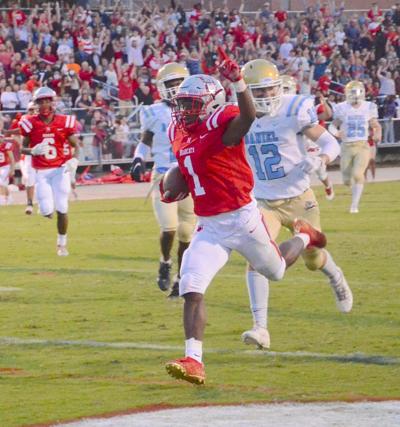 Knights, Erwin Win; Cats Fall to Lions | Sports | biltmorebeacon.com