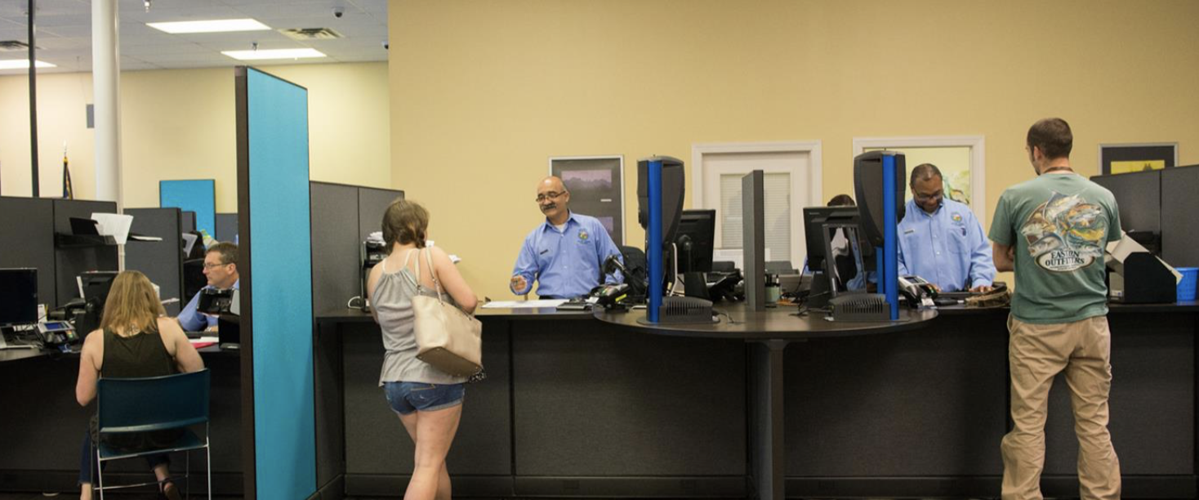 Dmv Hopes Backlog In Nc Drivers Licenses Is Over News