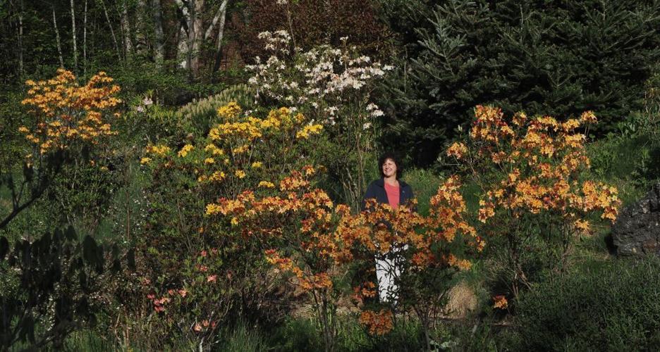 Horticulturist Thomas Ranney Gives Virtual Talk | Community ...