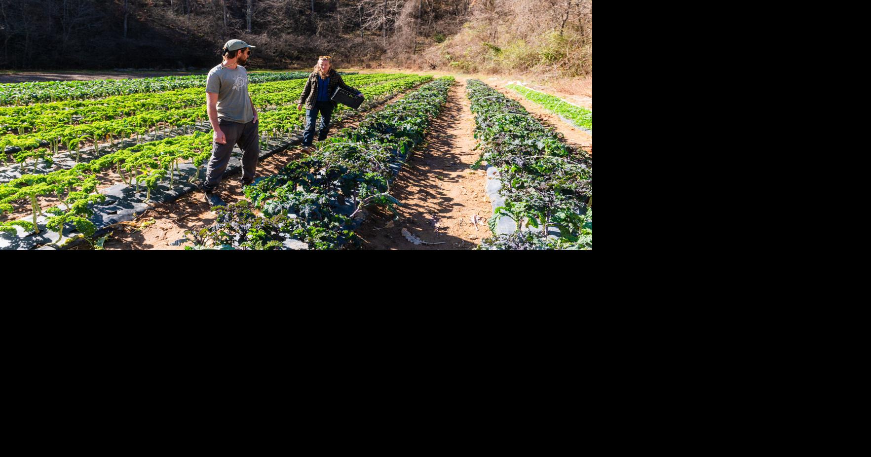 Farmer survey offers snapshot of the local food industry the year after Helene
