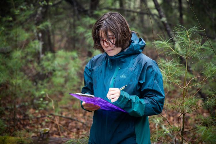 New Swannanoa preserve to double as public recreation and living ...